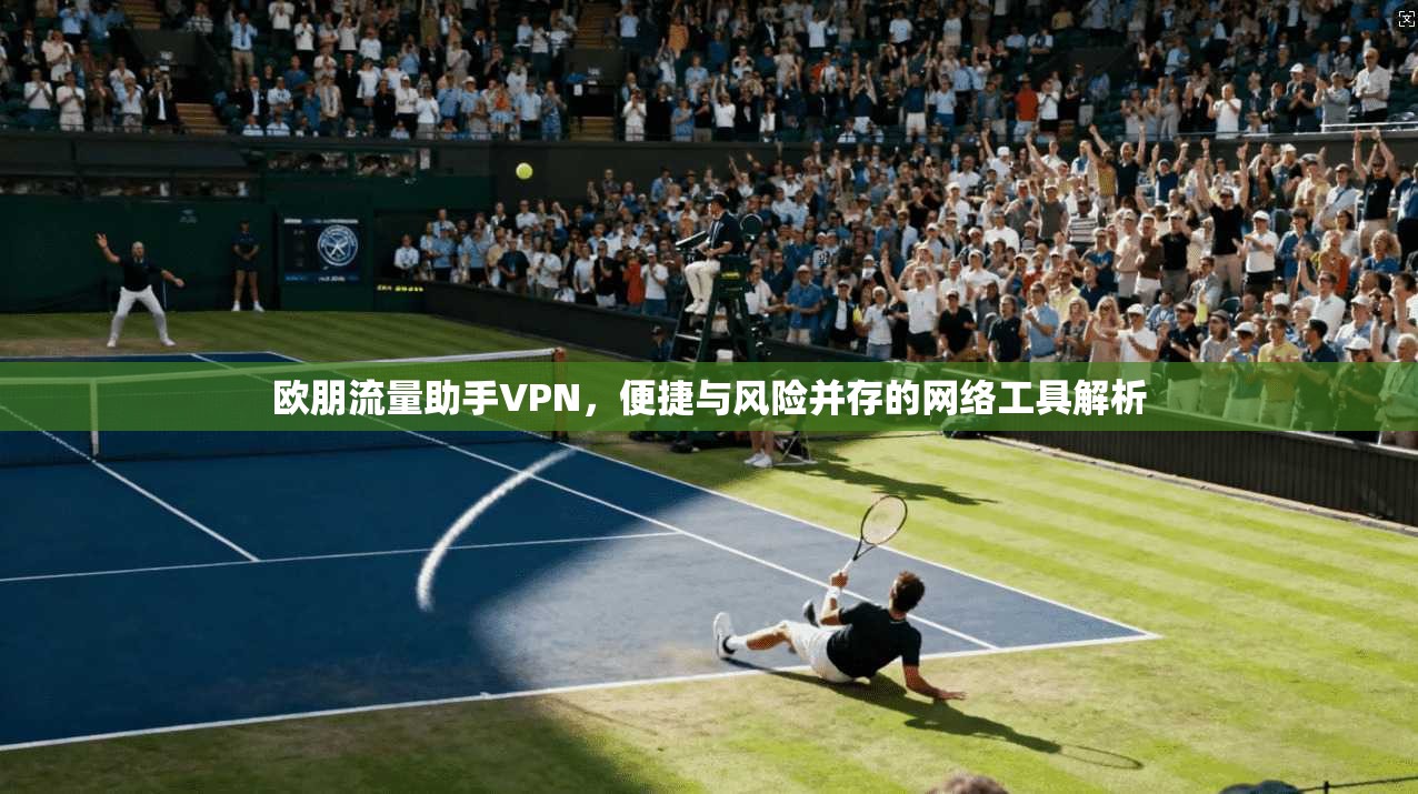 欧朋流量助手VPN，便捷与风险并存的网络工具解析