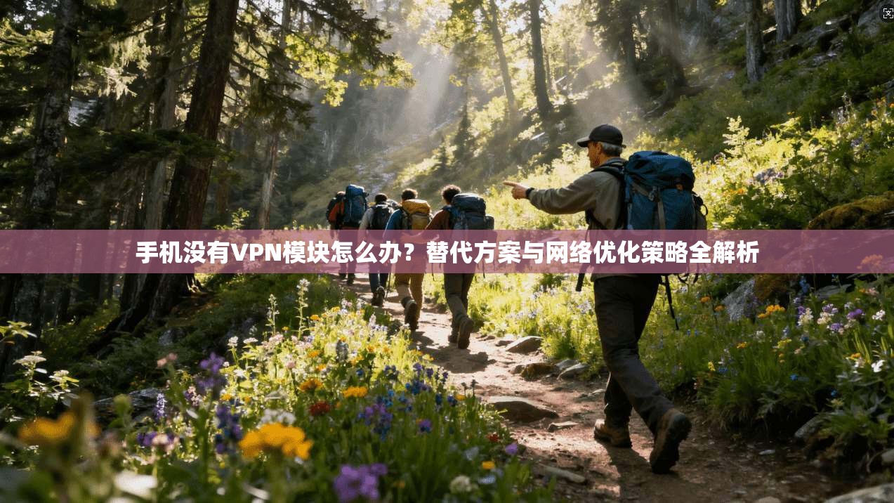 手机没有VPN模块怎么办？替代方案与网络优化策略全解析