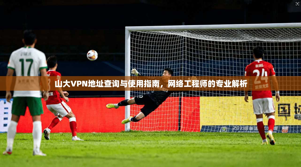 山大VPN地址查询与使用指南，网络工程师的专业解析