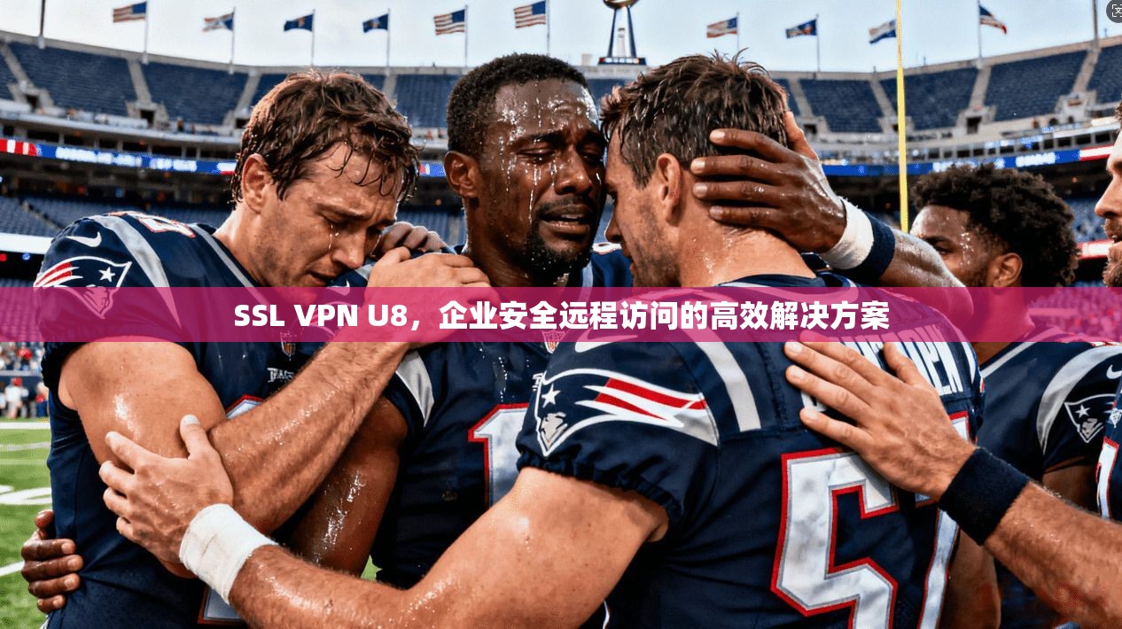 SSL VPN U8，企业安全远程访问的高效解决方案