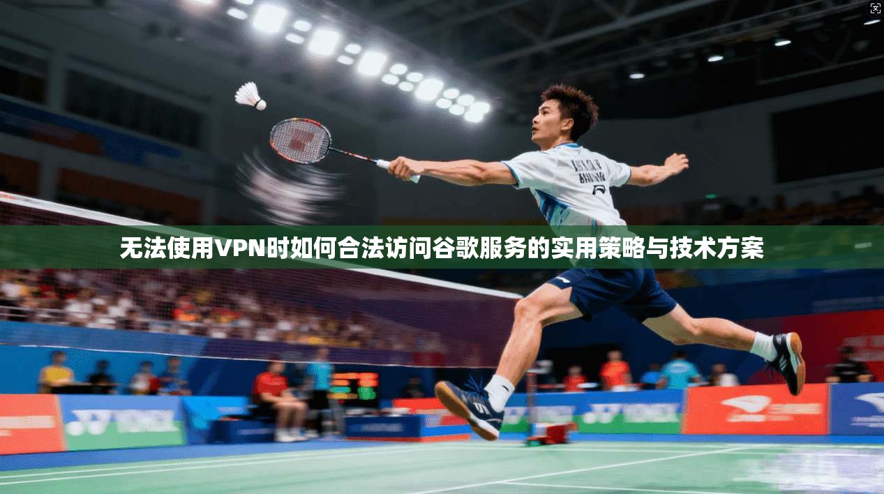 无法使用VPN时如何合法访问谷歌服务的实用策略与技术方案
