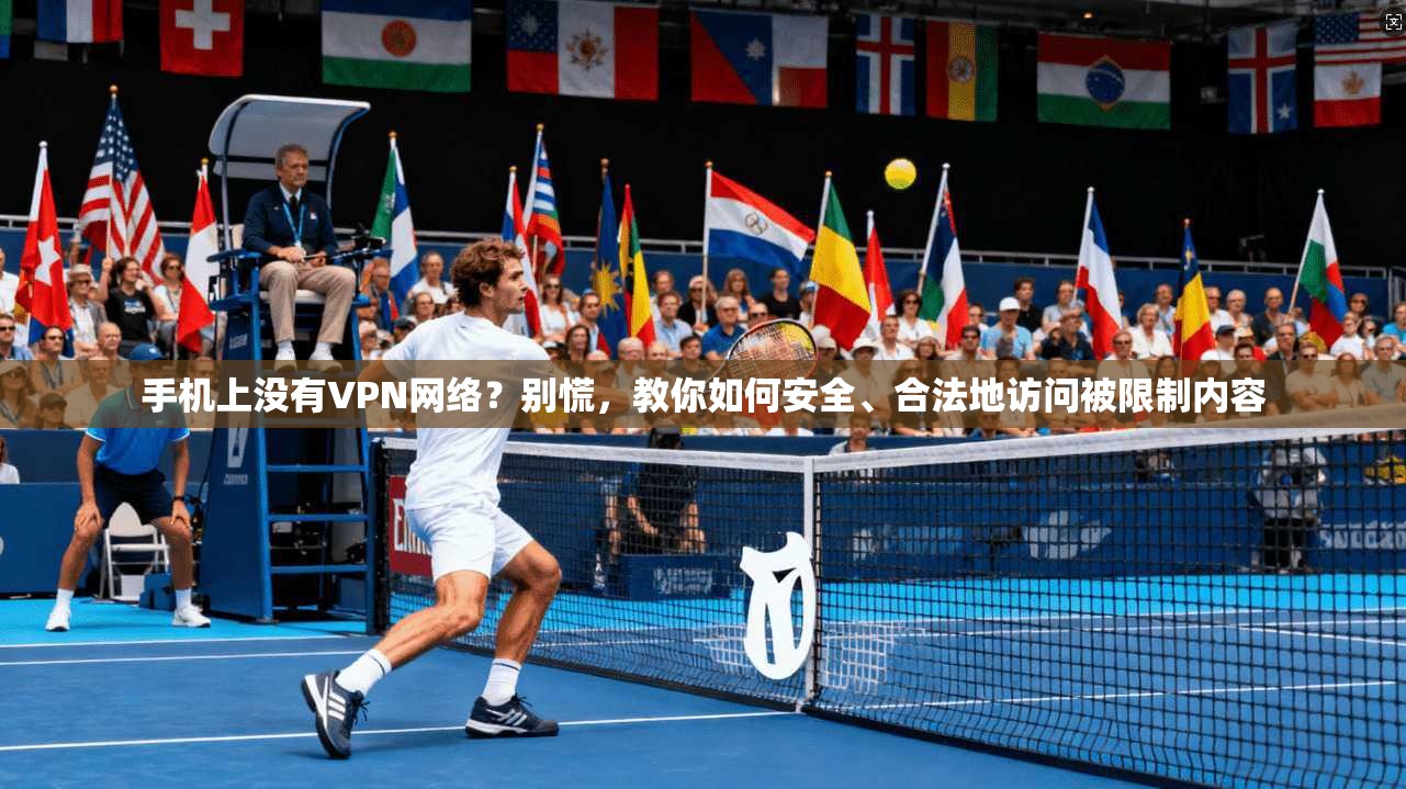 手机上没有VPN网络?别慌,教你如何安全、合法地访问被限制内容