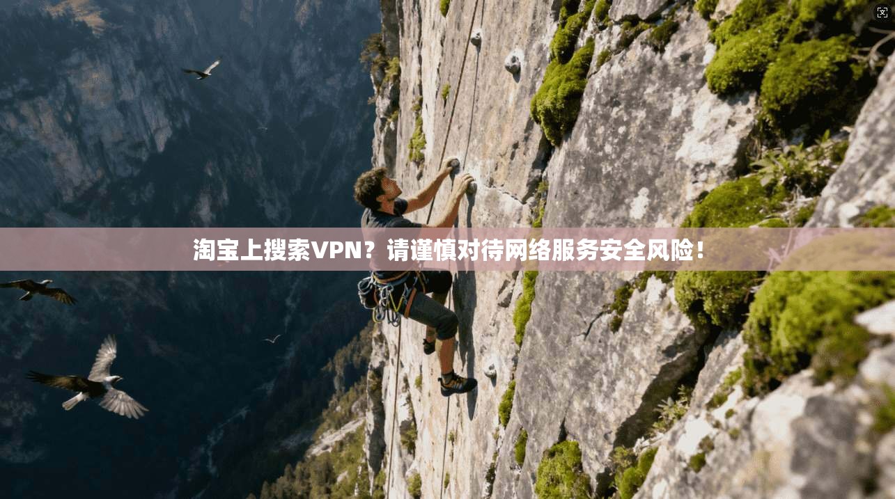 淘宝上搜索VPN？请谨慎对待网络服务安全风险！