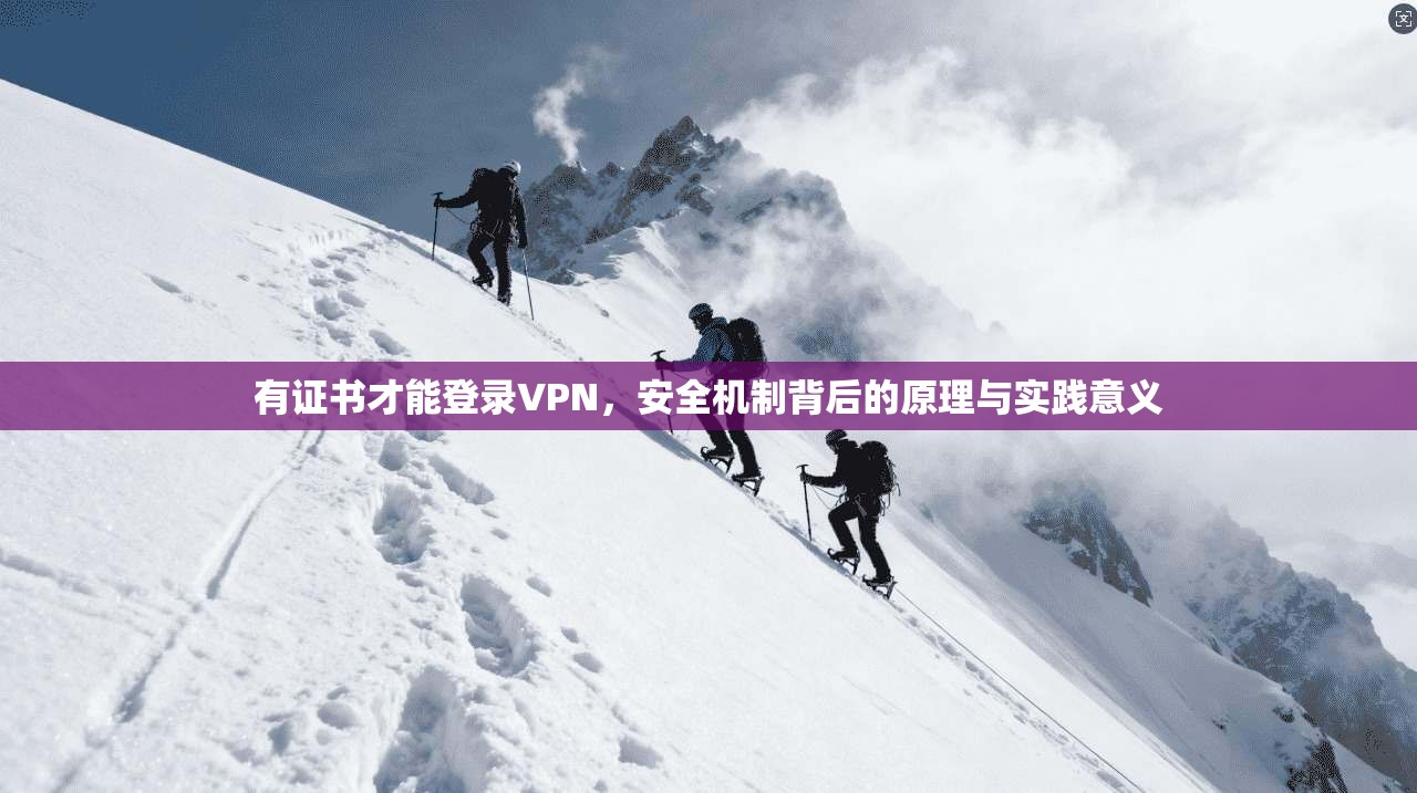 有证书才能登录VPN，安全机制背后的原理与实践意义