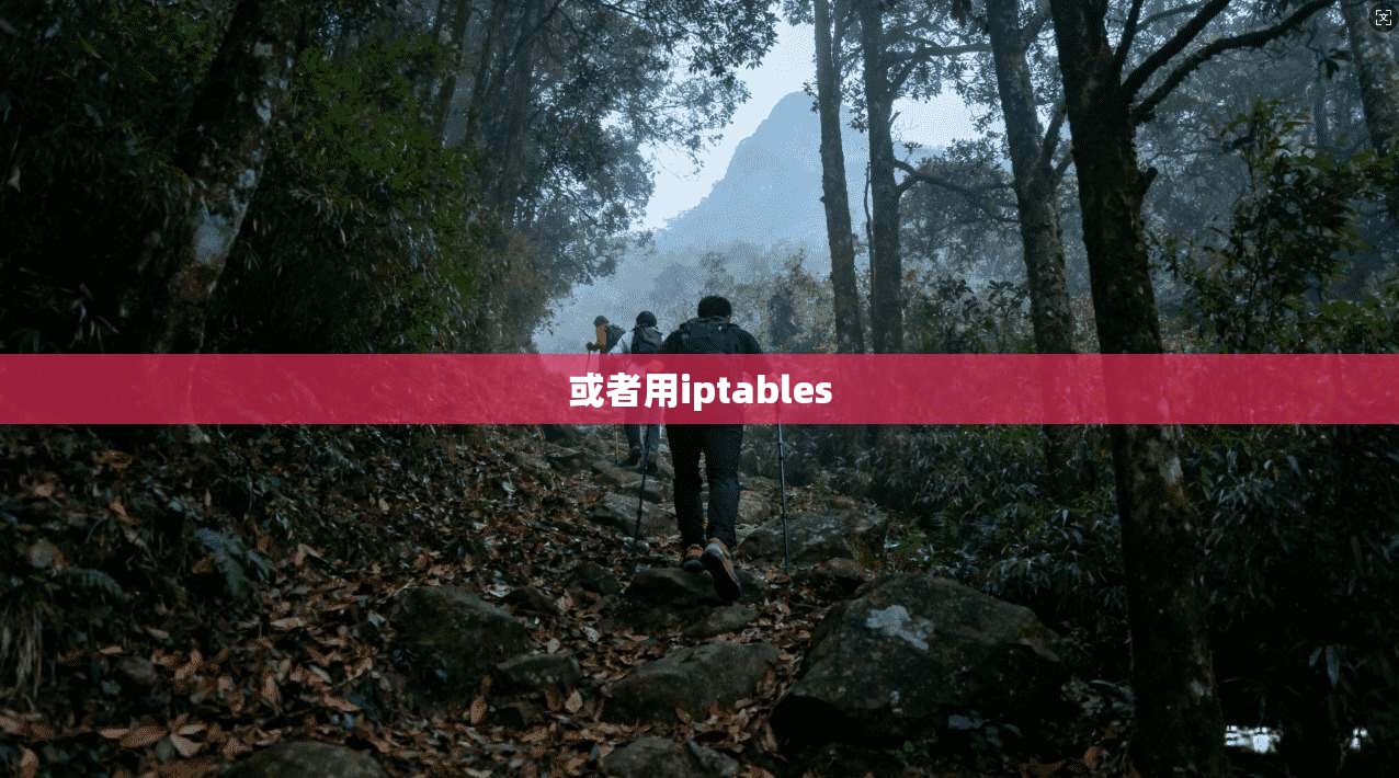 或者用iptables