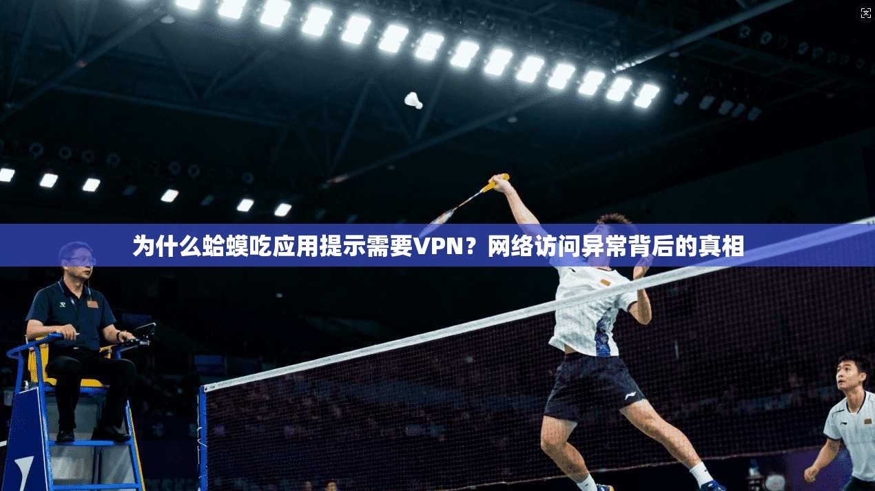 为什么蛤蟆吃应用提示需要VPN？网络访问异常背后的真相
