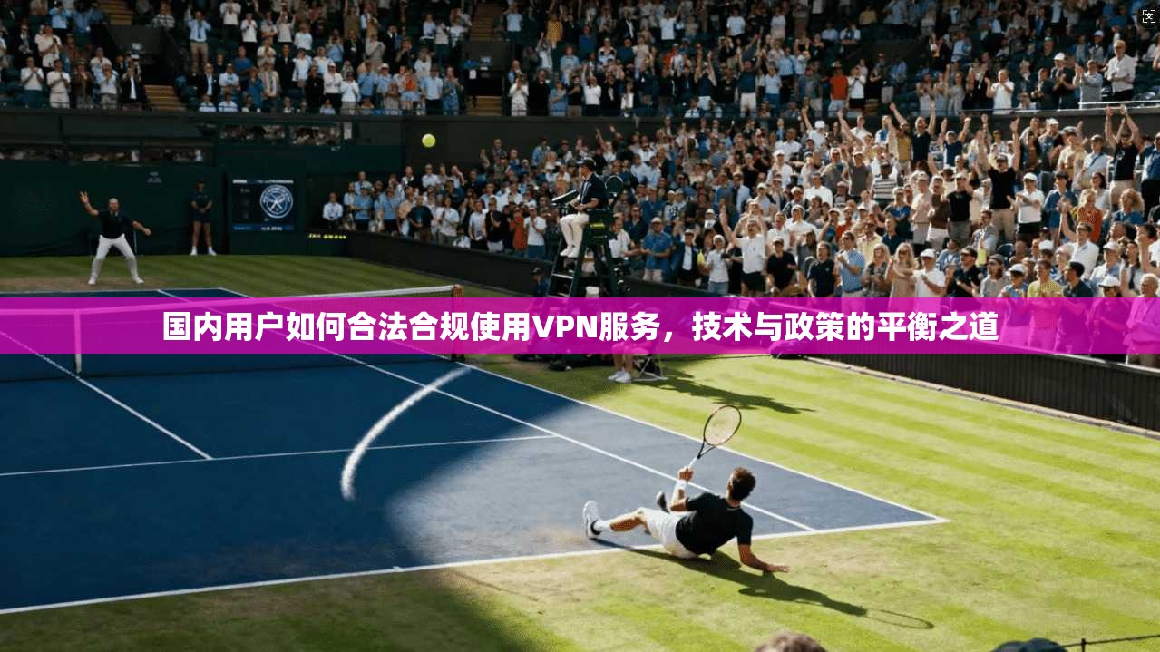 国内用户如何合法合规使用VPN服务，技术与政策的平衡之道