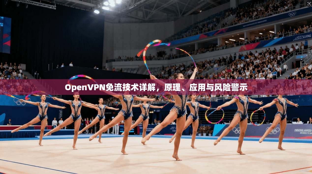 OpenVPN免流技术详解，原理、应用与风险警示