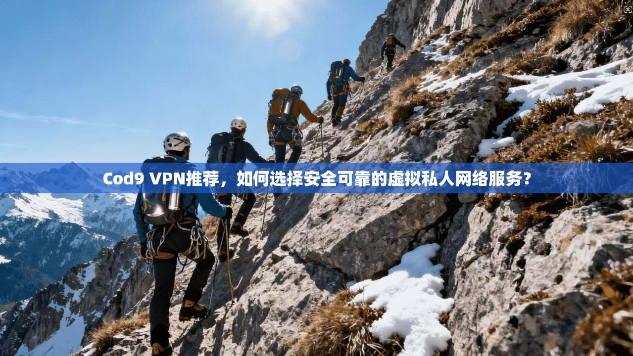 Cod9 VPN推荐，如何选择安全可靠的虚拟私人网络服务？