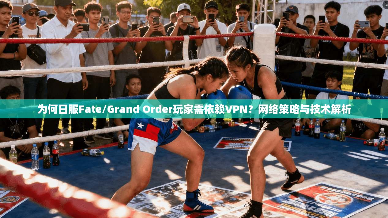为何日服Fate/Grand Order玩家需依赖VPN？网络策略与技术解析
