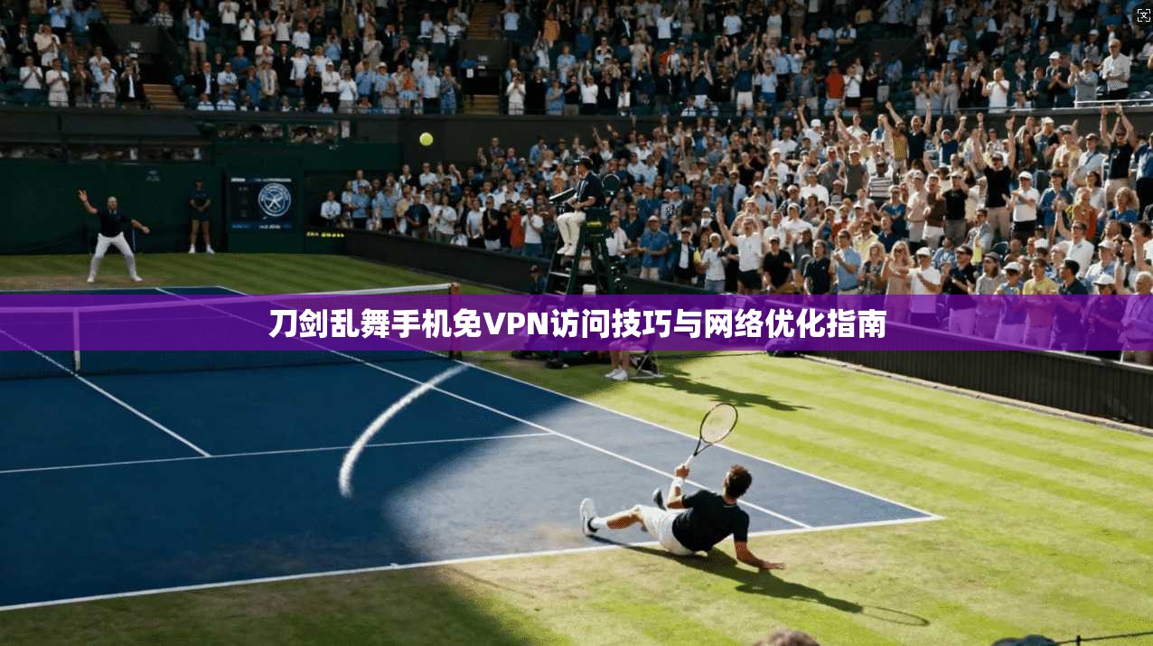 刀剑乱舞手机免VPN访问技巧与网络优化指南