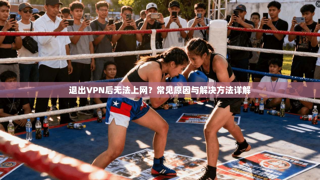 退出VPN后无法上网？常见原因与解决方法详解