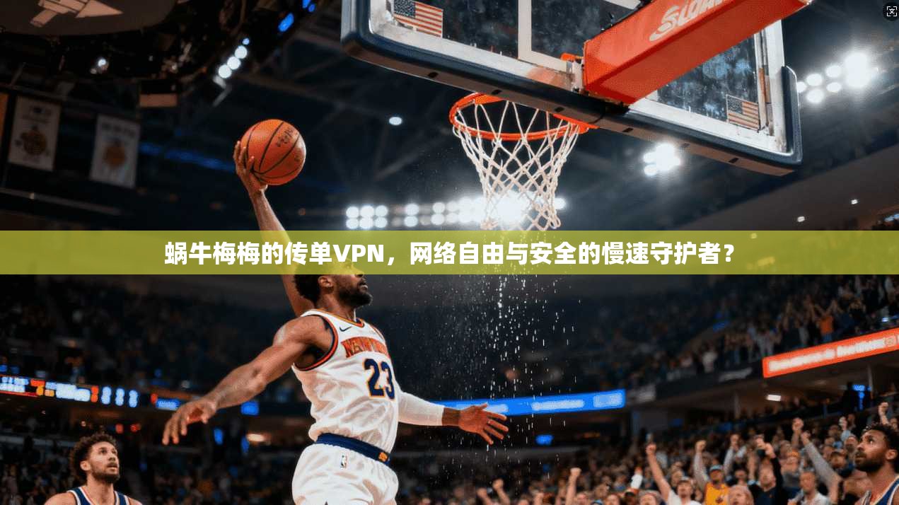 蜗牛梅梅的传单VPN，网络自由与安全的慢速守护者？