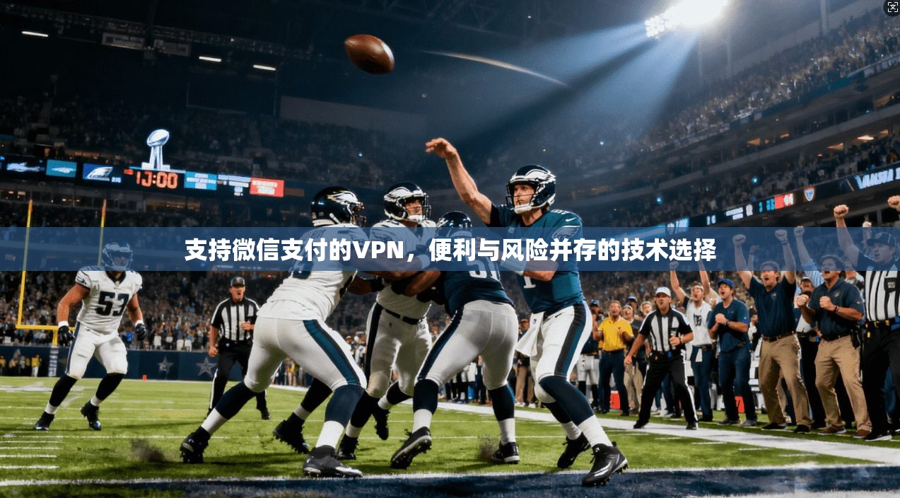 支持微信支付的VPN，便利与风险并存的技术选择