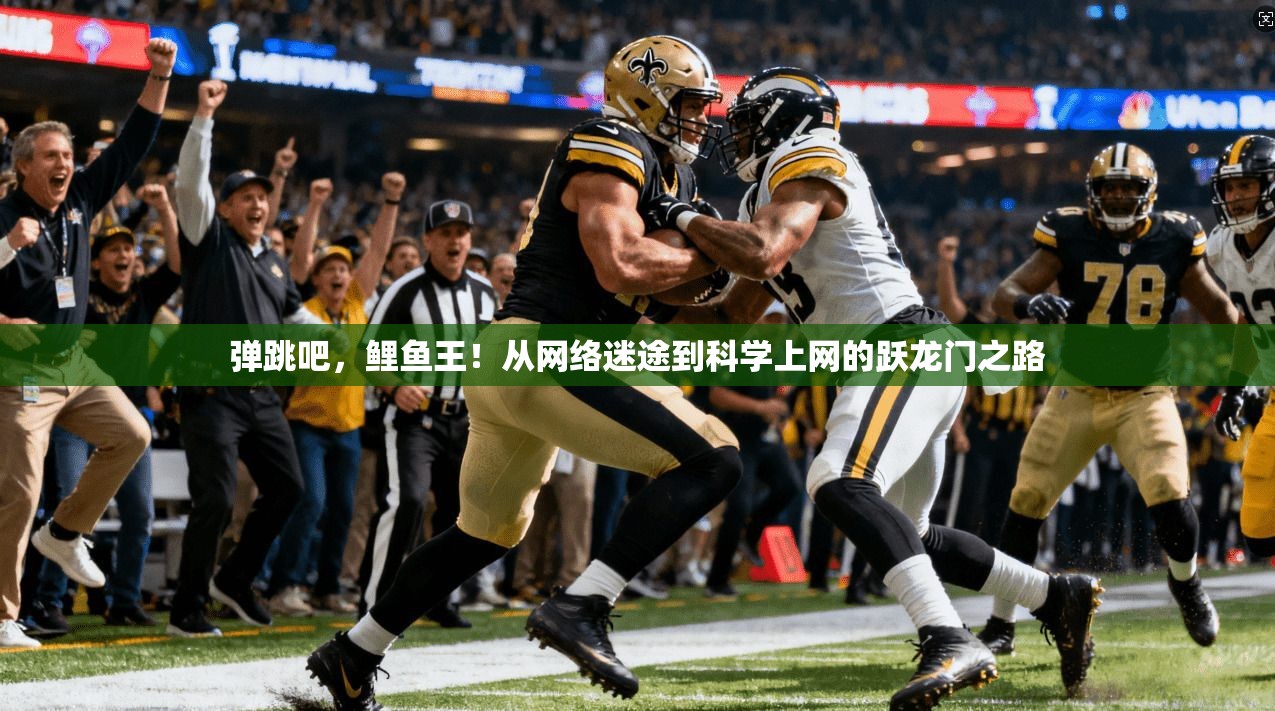 弹跳吧，鲤鱼王！从网络迷途到科学上网的跃龙门之路