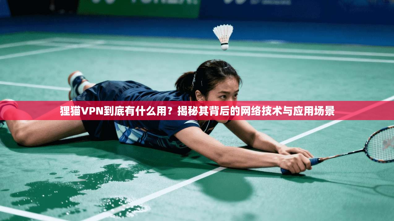 狸猫VPN到底有什么用？揭秘其背后的网络技术与应用场景