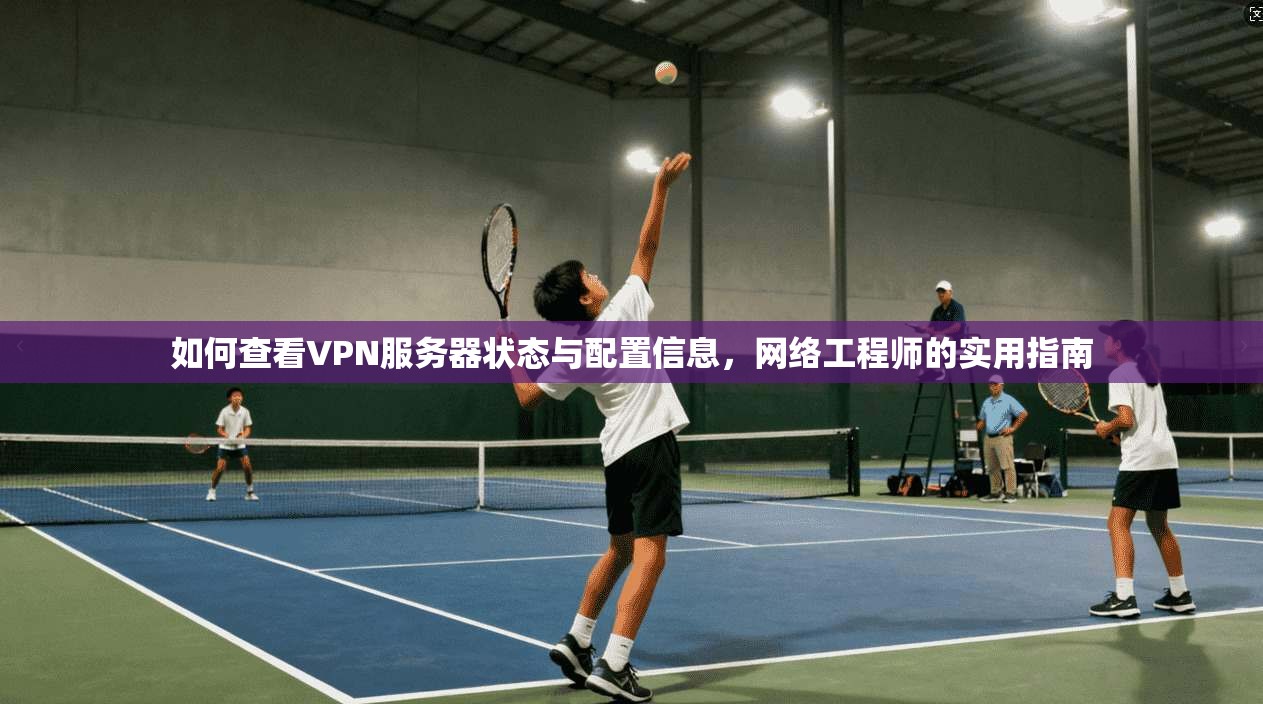 如何查看VPN服务器状态与配置信息，网络工程师的实用指南