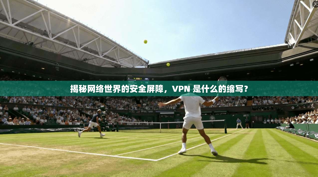 揭秘网络世界的安全屏障，VPN 是什么的缩写？