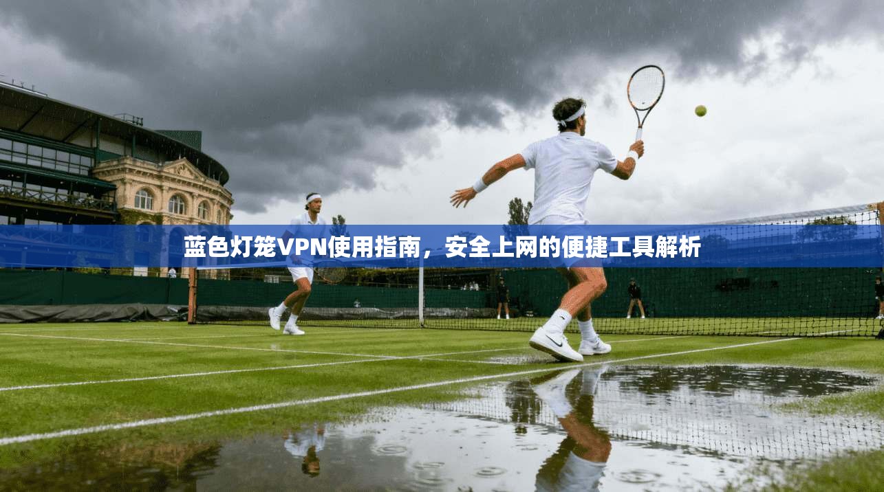 蓝色灯笼VPN使用指南，安全上网的便捷工具解析