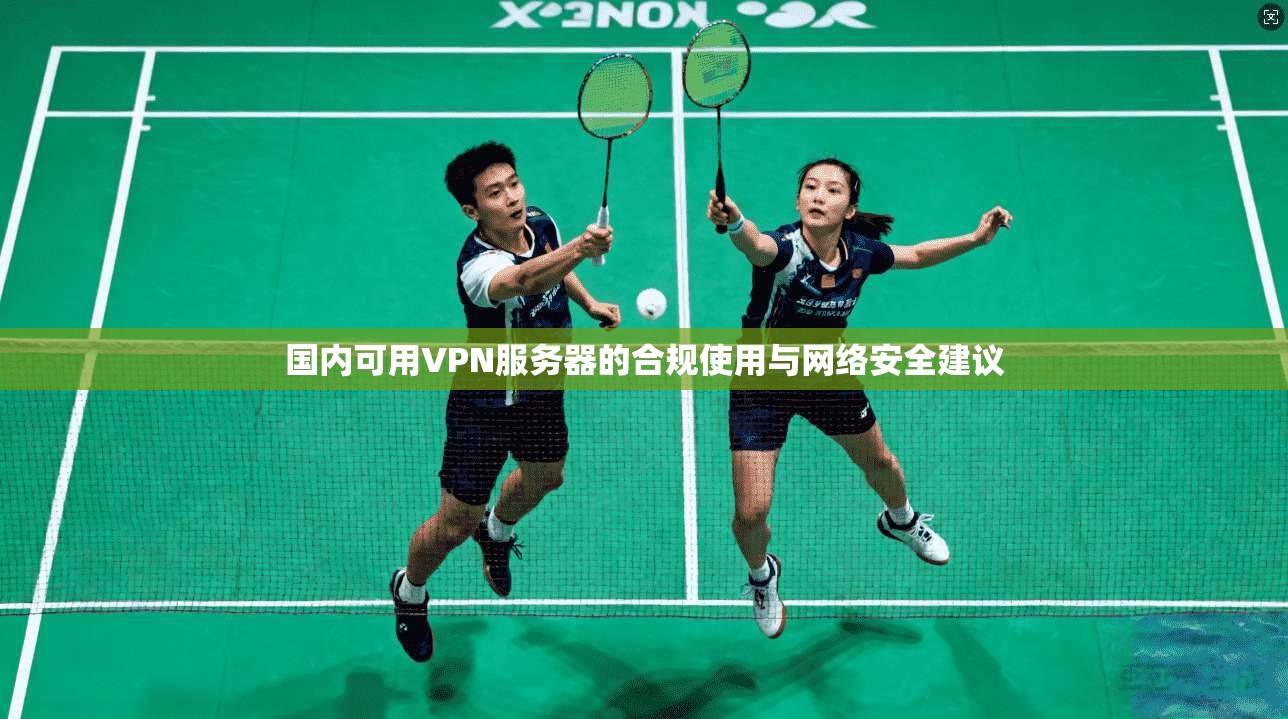 国内可用VPN服务器的合规使用与网络安全建议