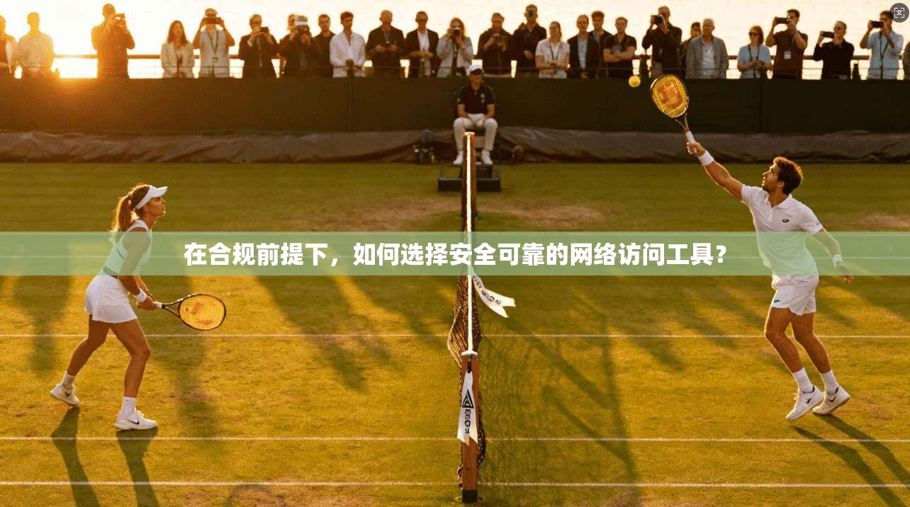 在合规前提下,如何选择安全可靠的网络访问工具?