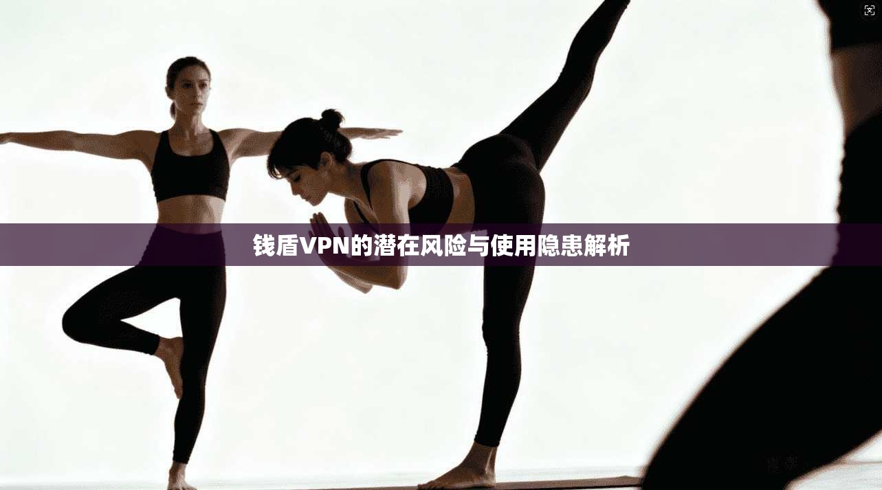 钱盾VPN的潜在风险与使用隐患解析