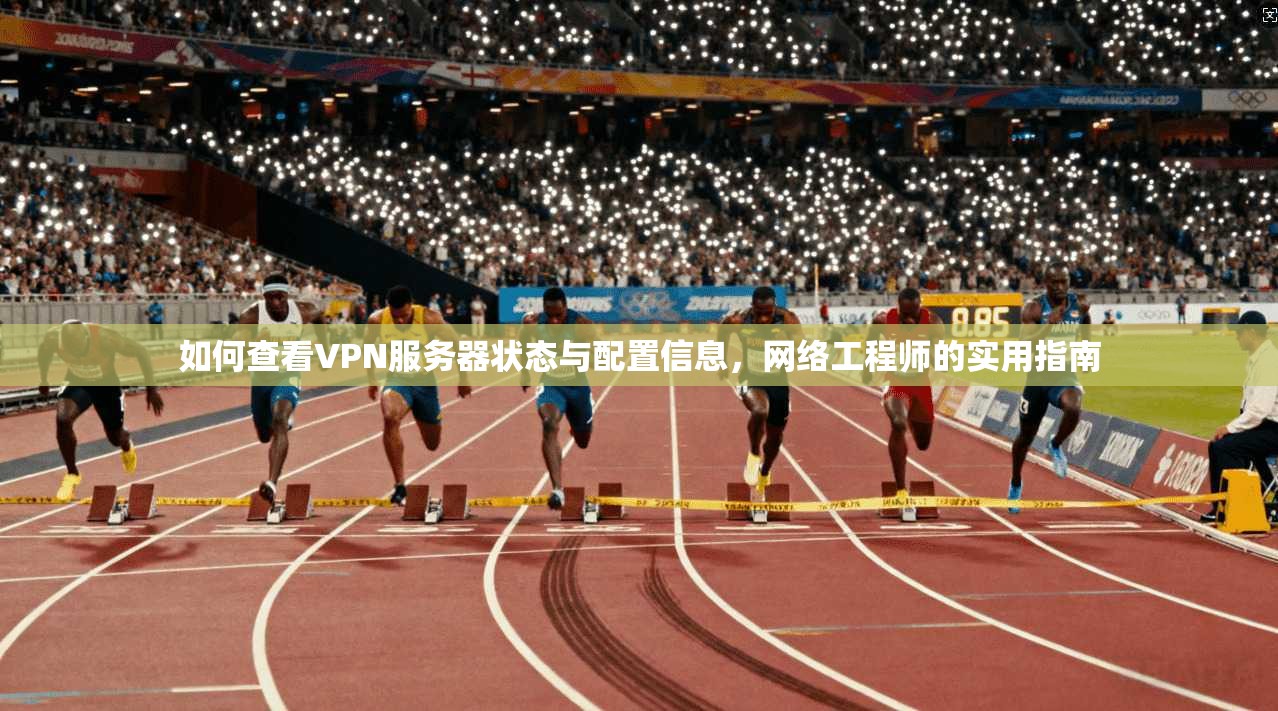 如何查看VPN服务器状态与配置信息，网络工程师的实用指南