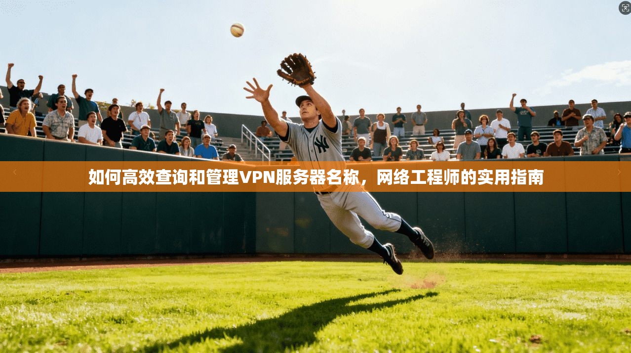 如何高效查询和管理VPN服务器名称,网络工程师的实用指南