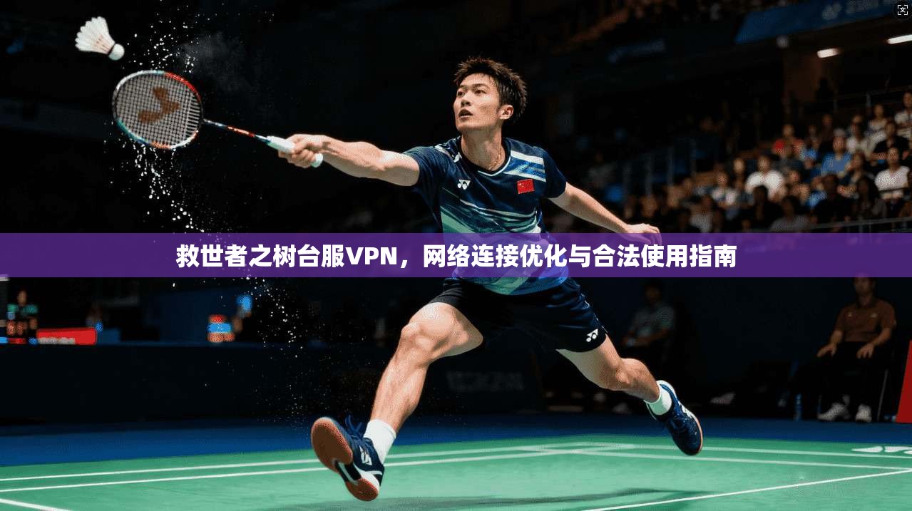 救世者之树台服VPN，网络连接优化与合法使用指南