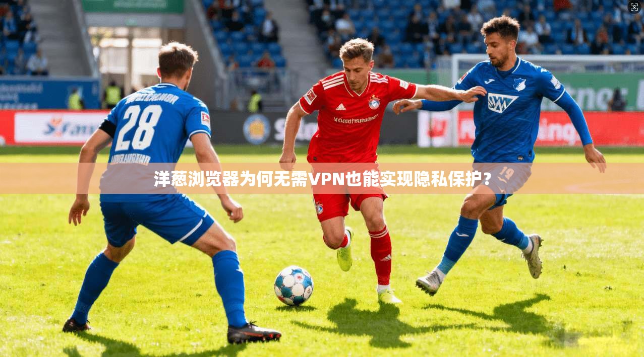 洋葱浏览器为何无需VPN也能实现隐私保护？