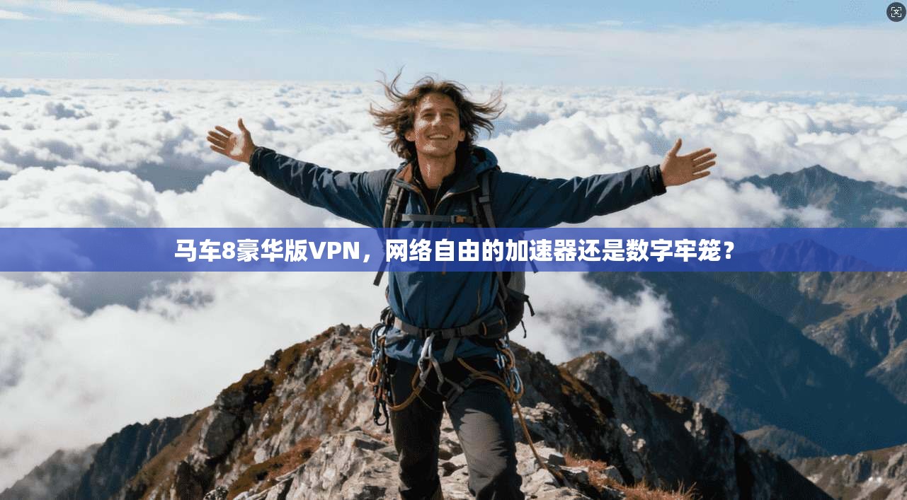 马车8豪华版VPN，网络自由的加速器还是数字牢笼？