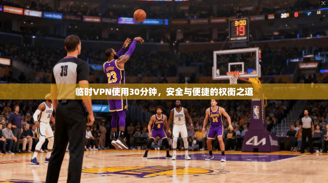 临时VPN使用30分钟，安全与便捷的权衡之道