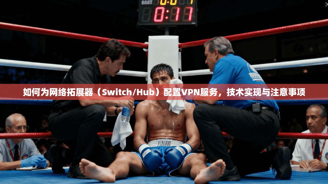 如何为网络拓展器（Switch/Hub）配置VPN服务，技术实现与注意事项