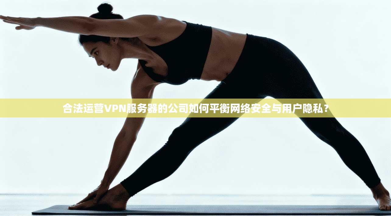合法运营VPN服务器的公司如何平衡网络安全与用户隐私？