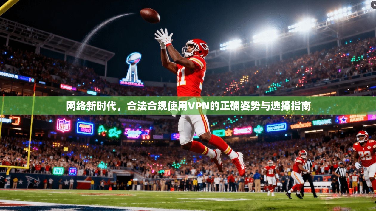 网络新时代，合法合规使用VPN的正确姿势与选择指南