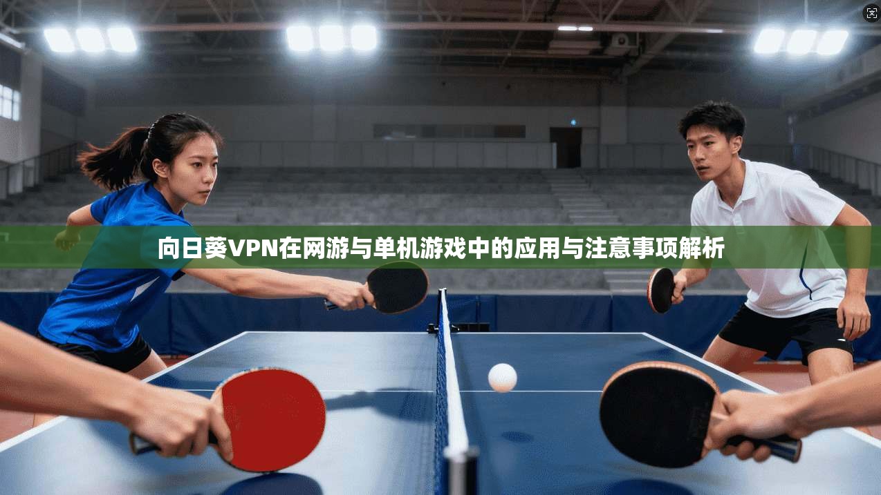 向日葵VPN在网游与单机游戏中的应用与注意事项解析