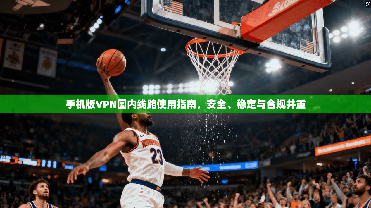 手机版VPN国内线路使用指南，安全、稳定与合规并重