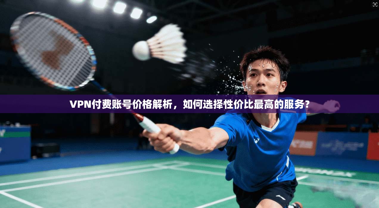 VPN付费账号价格解析，如何选择性价比最高的服务？