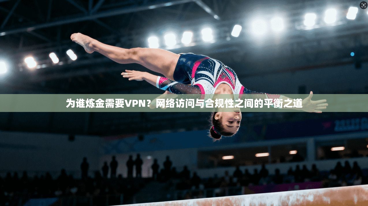 为谁炼金需要VPN？网络访问与合规性之间的平衡之道