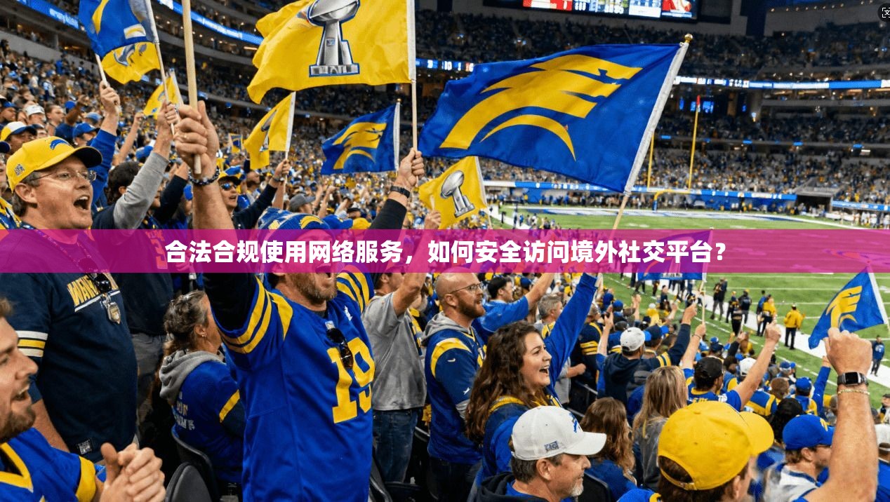 合法合规使用网络服务，如何安全访问境外社交平台？