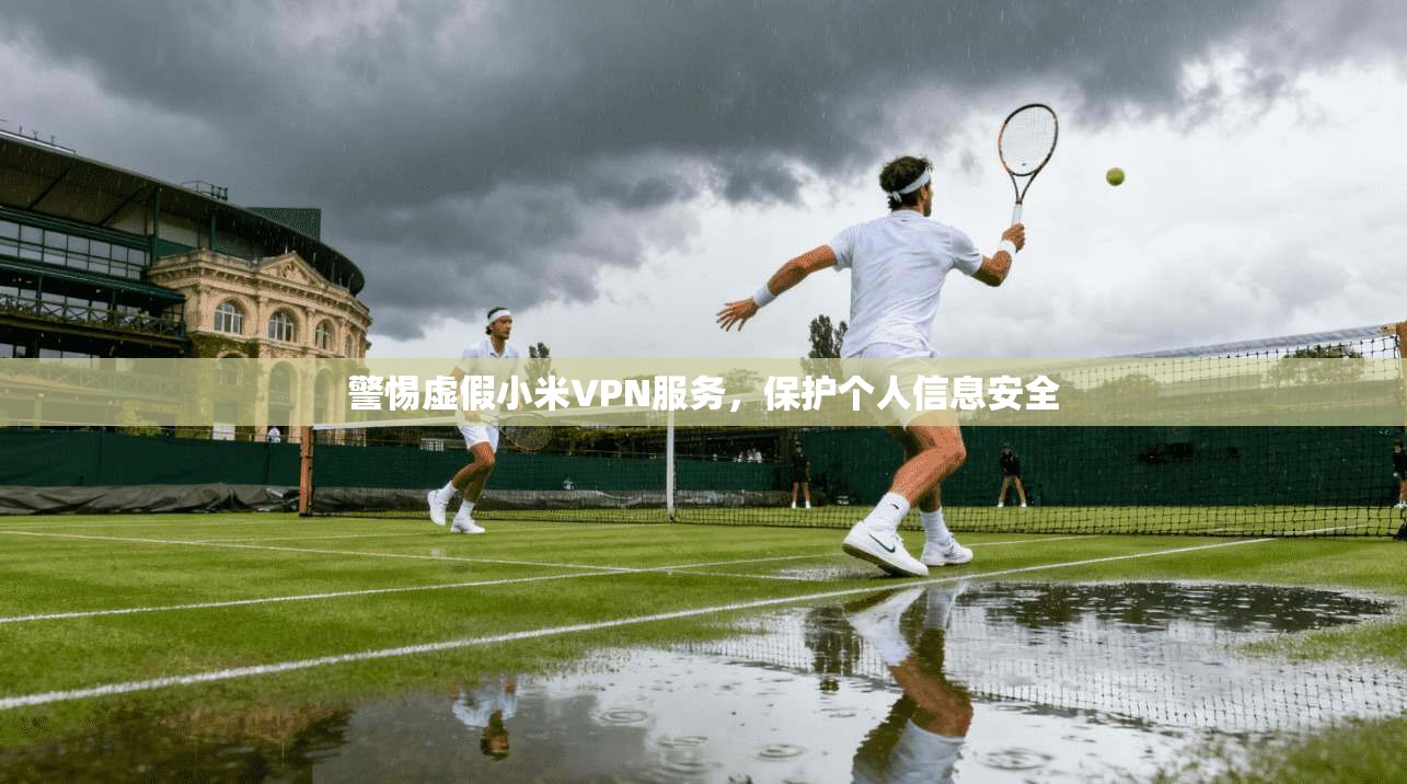 警惕虚假小米VPN服务，保护个人信息安全