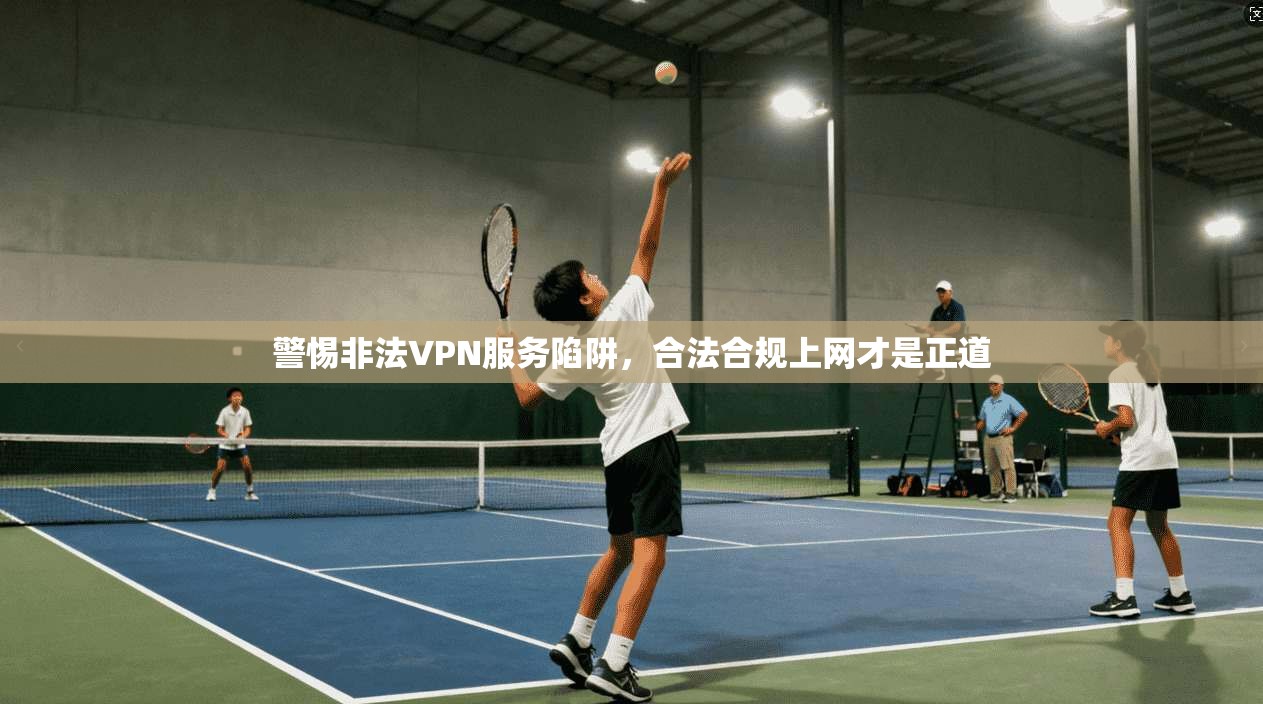 警惕非法VPN服务陷阱，合法合规上网才是正道