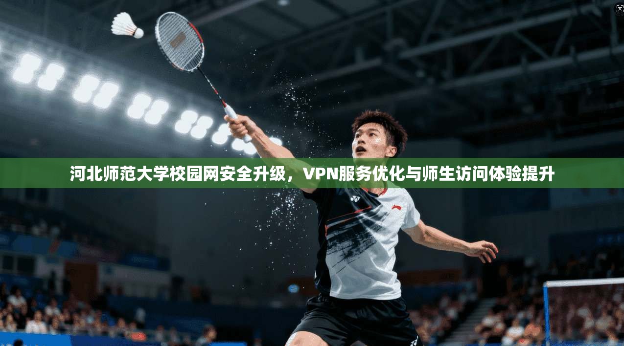 河北师范大学校园网安全升级，VPN服务优化与师生访问体验提升
