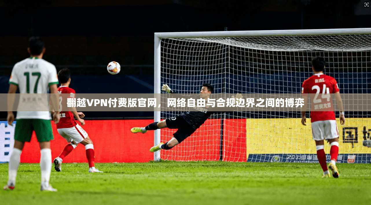 翻越VPN付费版官网，网络自由与合规边界之间的博弈