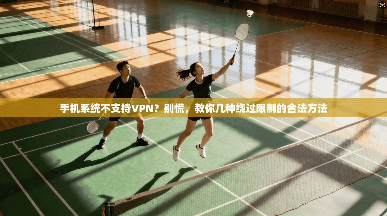 手机系统不支持VPN？别慌，教你几种绕过限制的合法方法