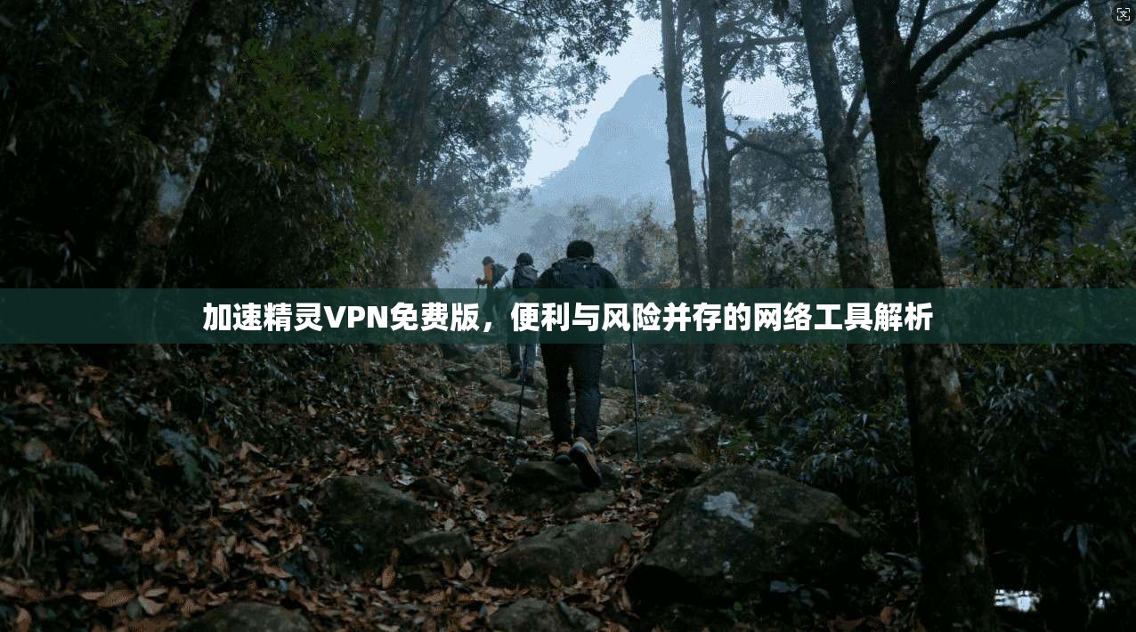 加速精灵VPN免费版，便利与风险并存的网络工具解析