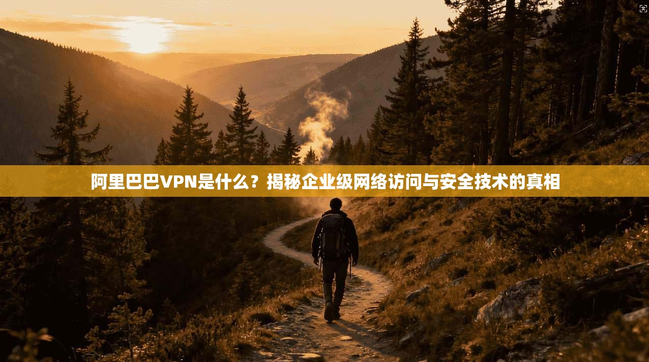 阿里巴巴VPN是什么?揭秘企业级网络访问与安全技术的真相