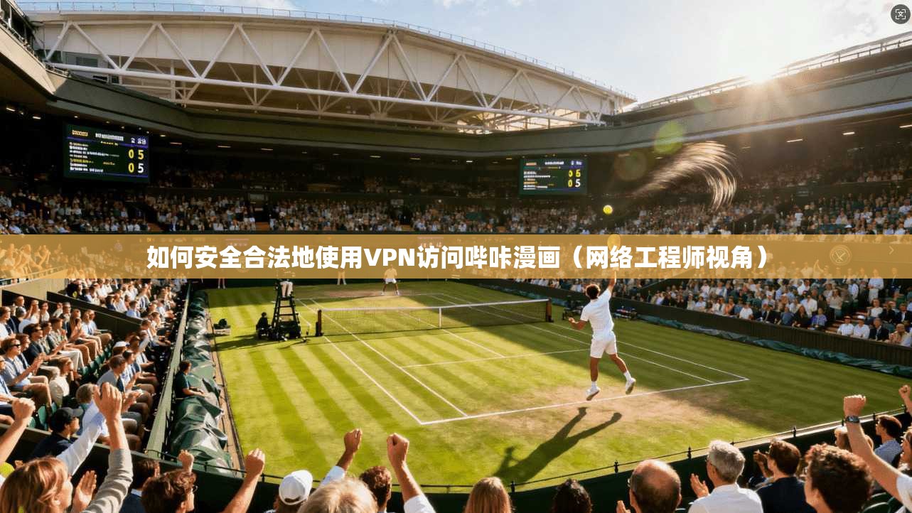 如何安全合法地使用VPN访问哔咔漫画（网络工程师视角）