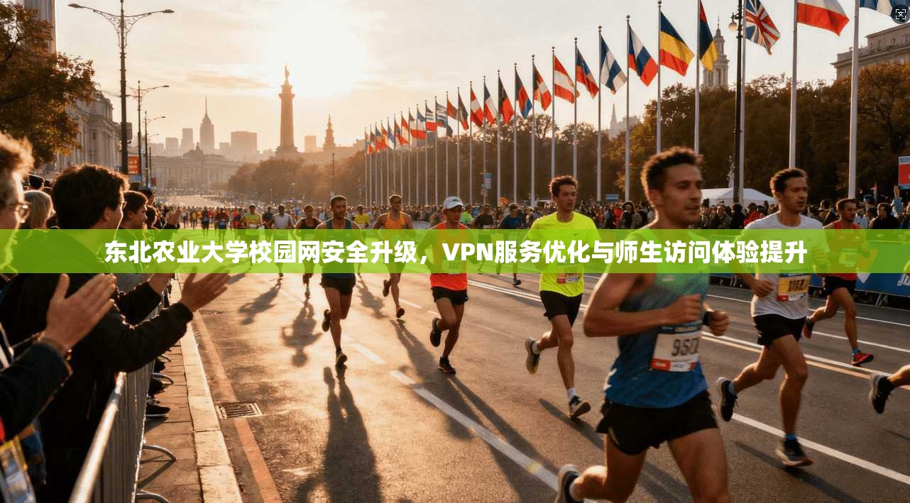 东北农业大学校园网安全升级，VPN服务优化与师生访问体验提升