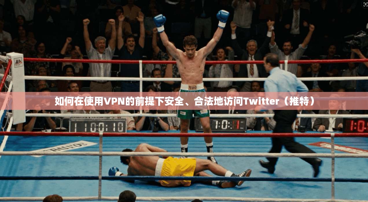 如何在使用VPN的前提下安全、合法地访问Twitter（推特）